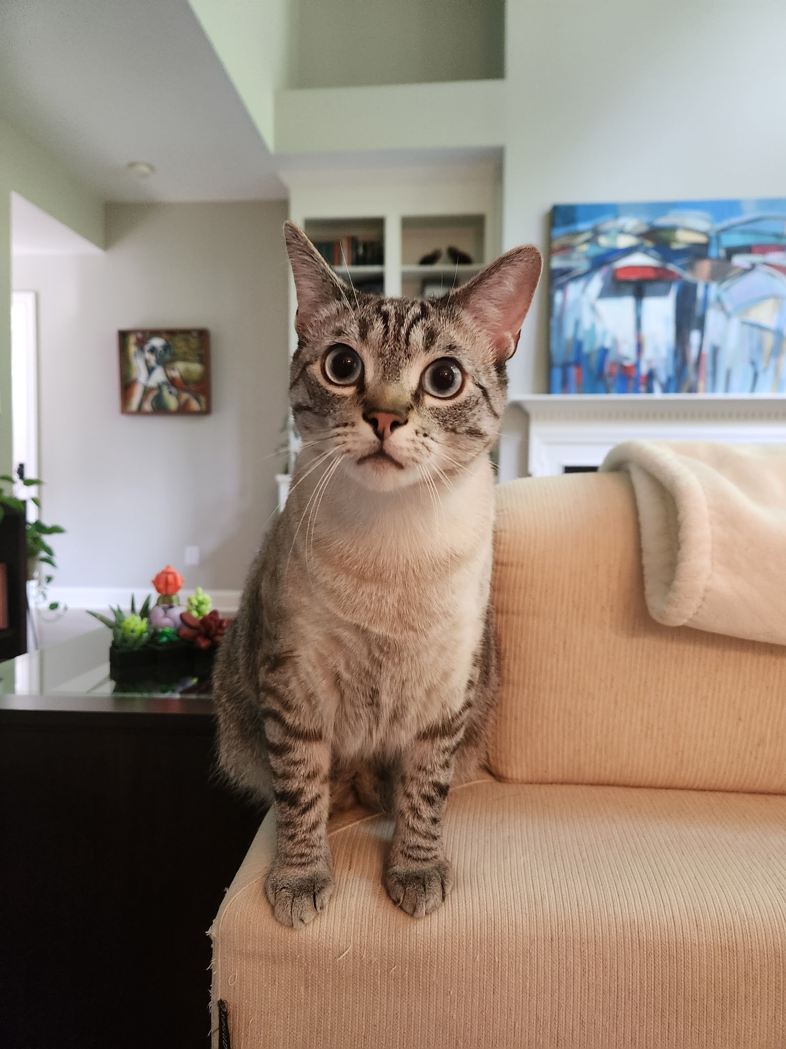 One of Bethany’s pet-care clients