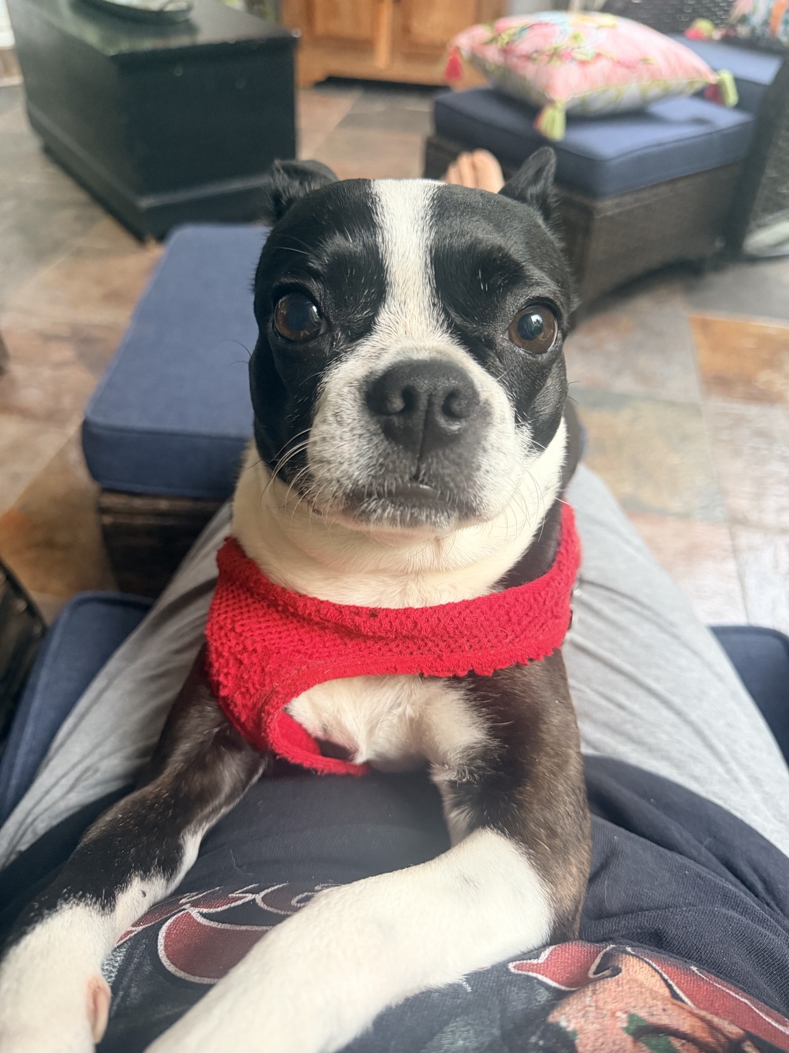 One of Bethany’s pet-care clients