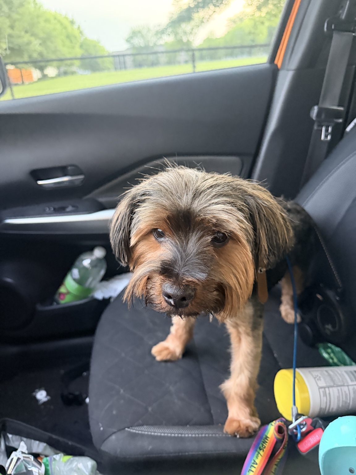 One of Bethany’s happy pet-care clients