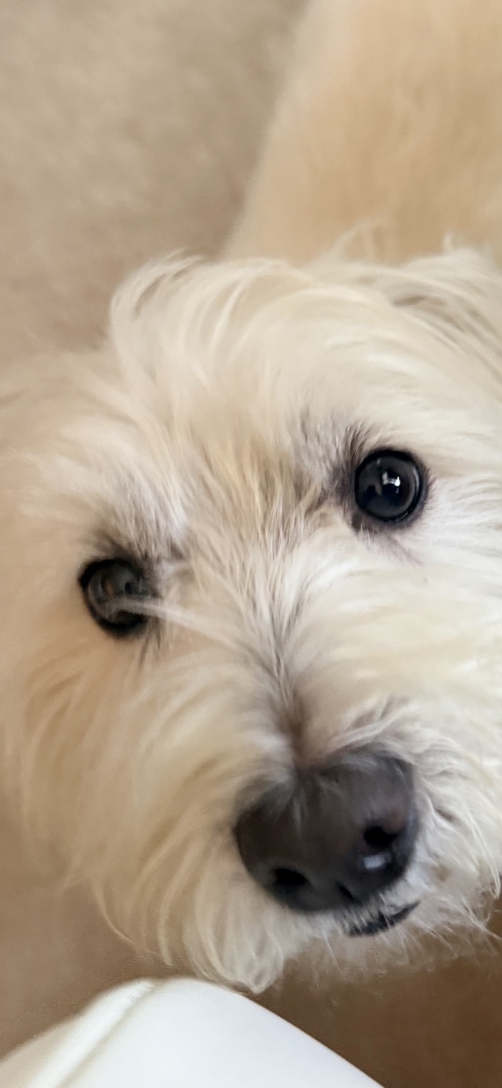 One of Bethany’s happy pet-care clients