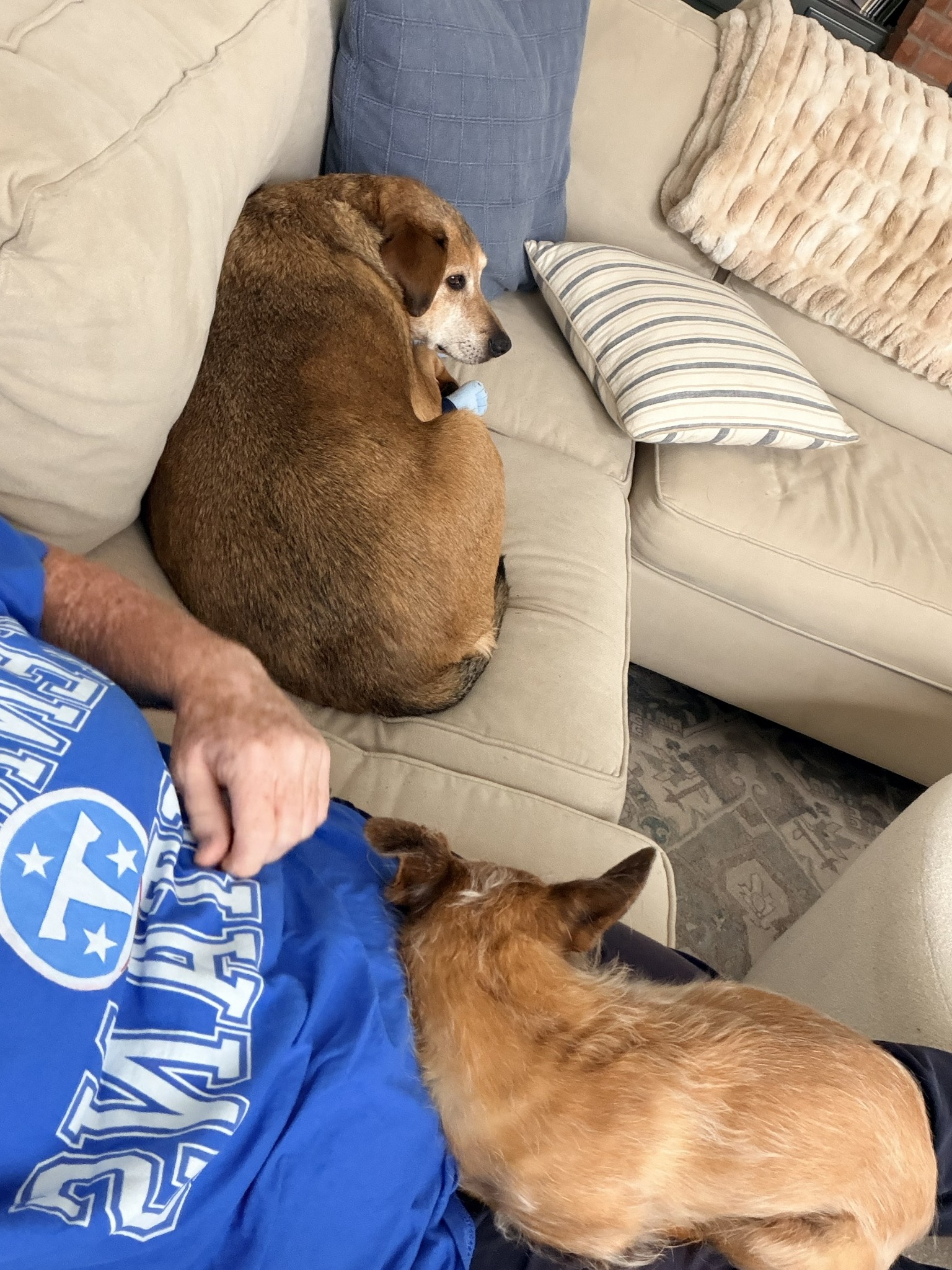 One of Bethany’s happy pet-care clients