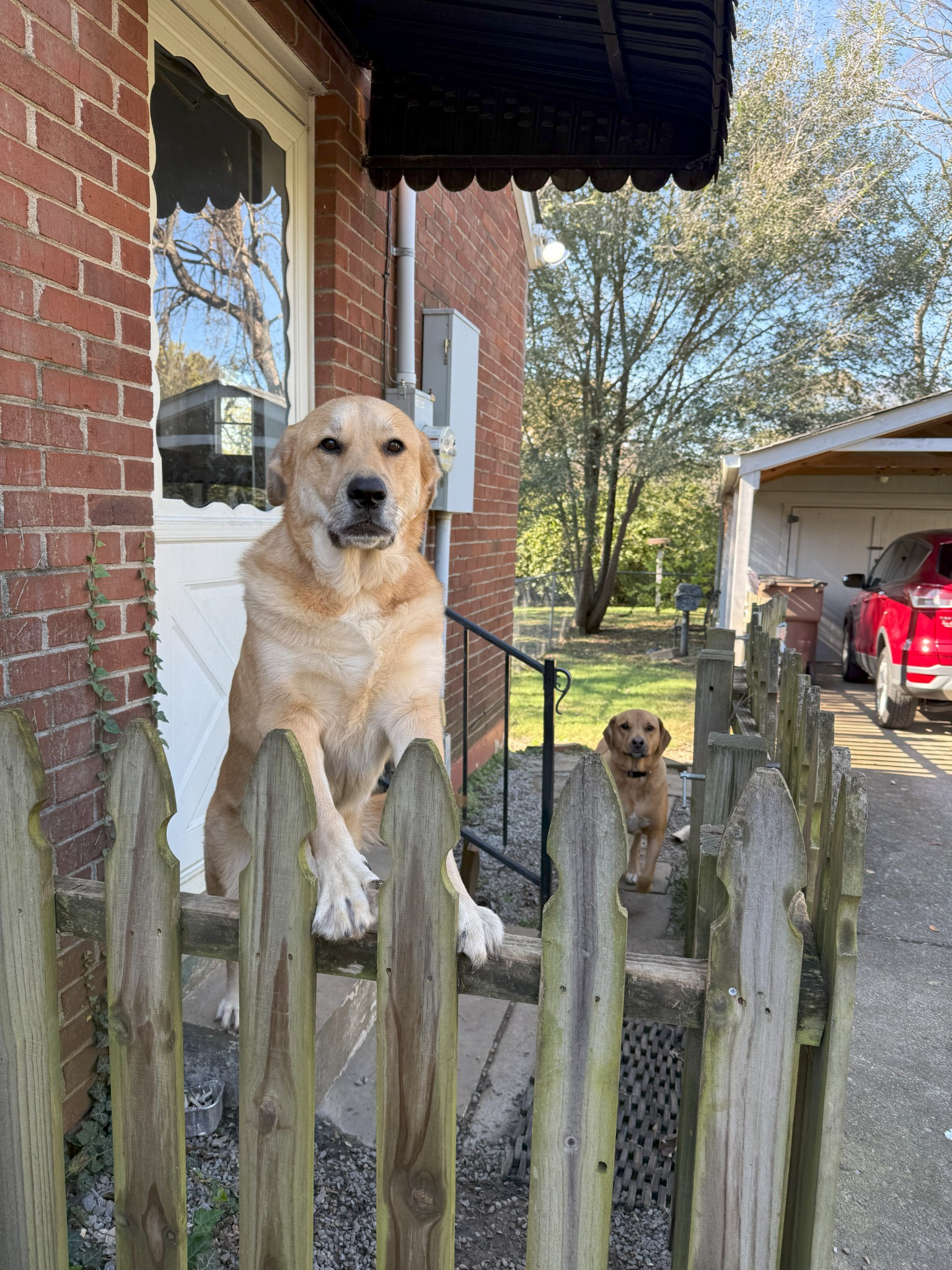 One of Bethany’s happy pet-care clients