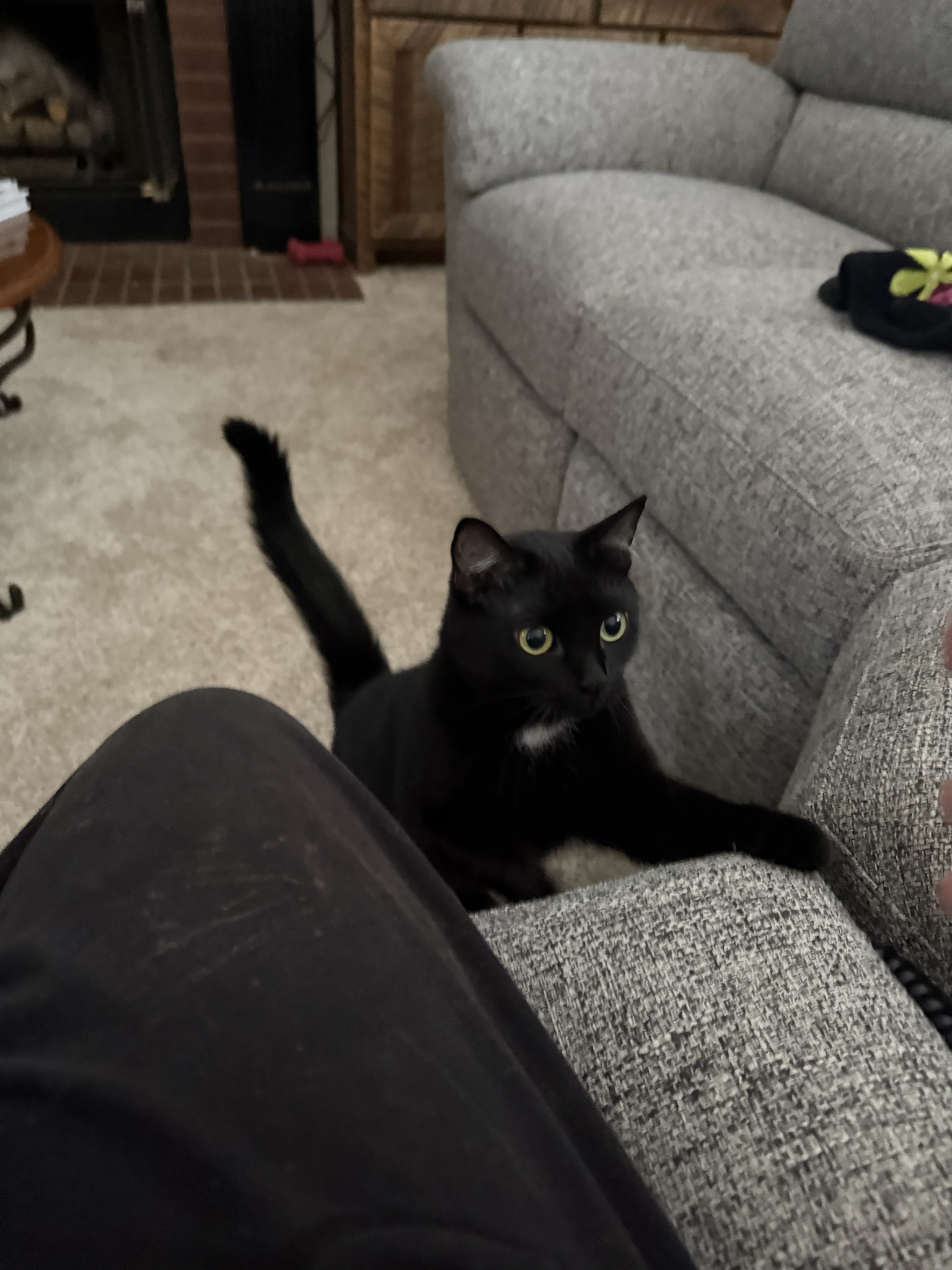 One of Bethany’s happy pet-care clients