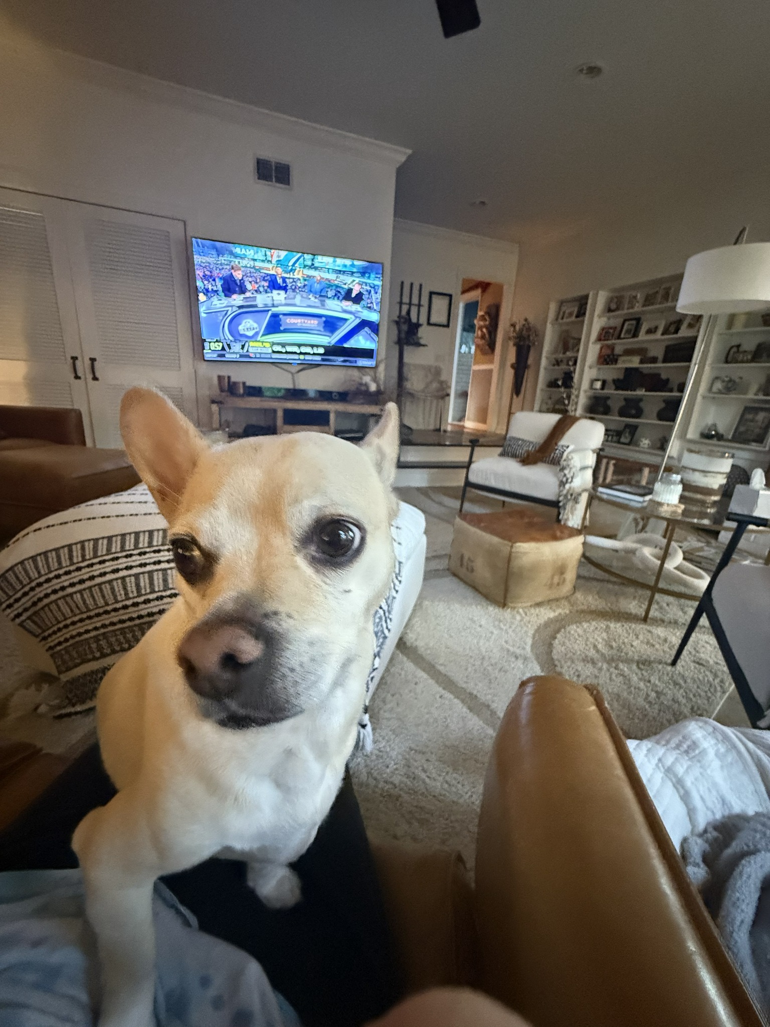 One of Bethany’s happy pet-care clients