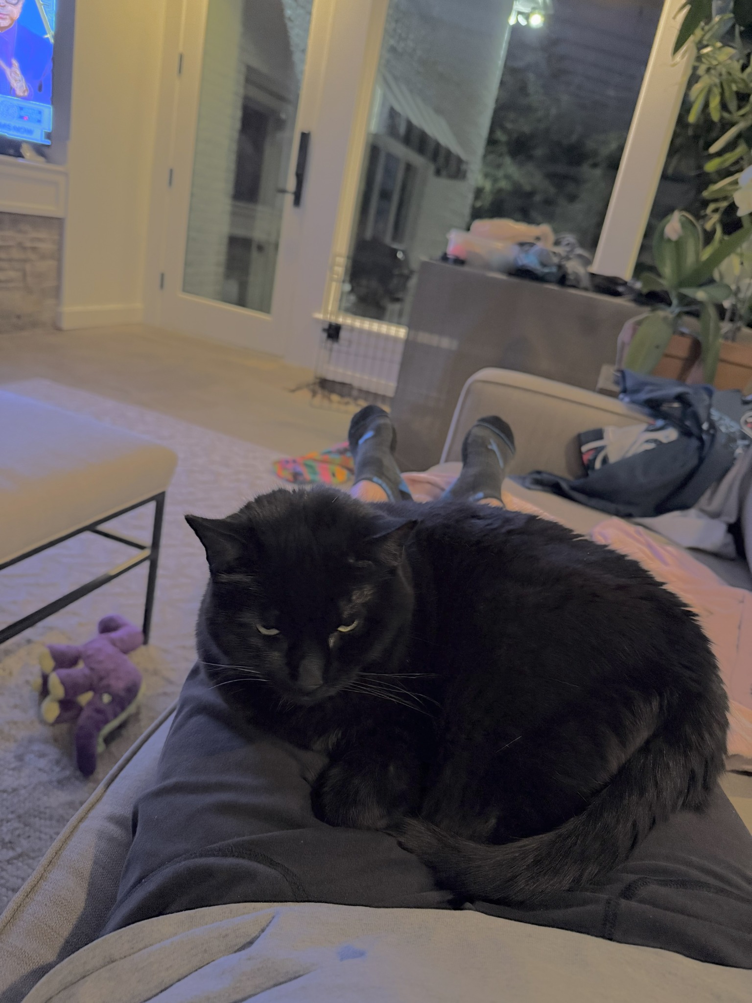 One of Bethany’s happy pet-care clients