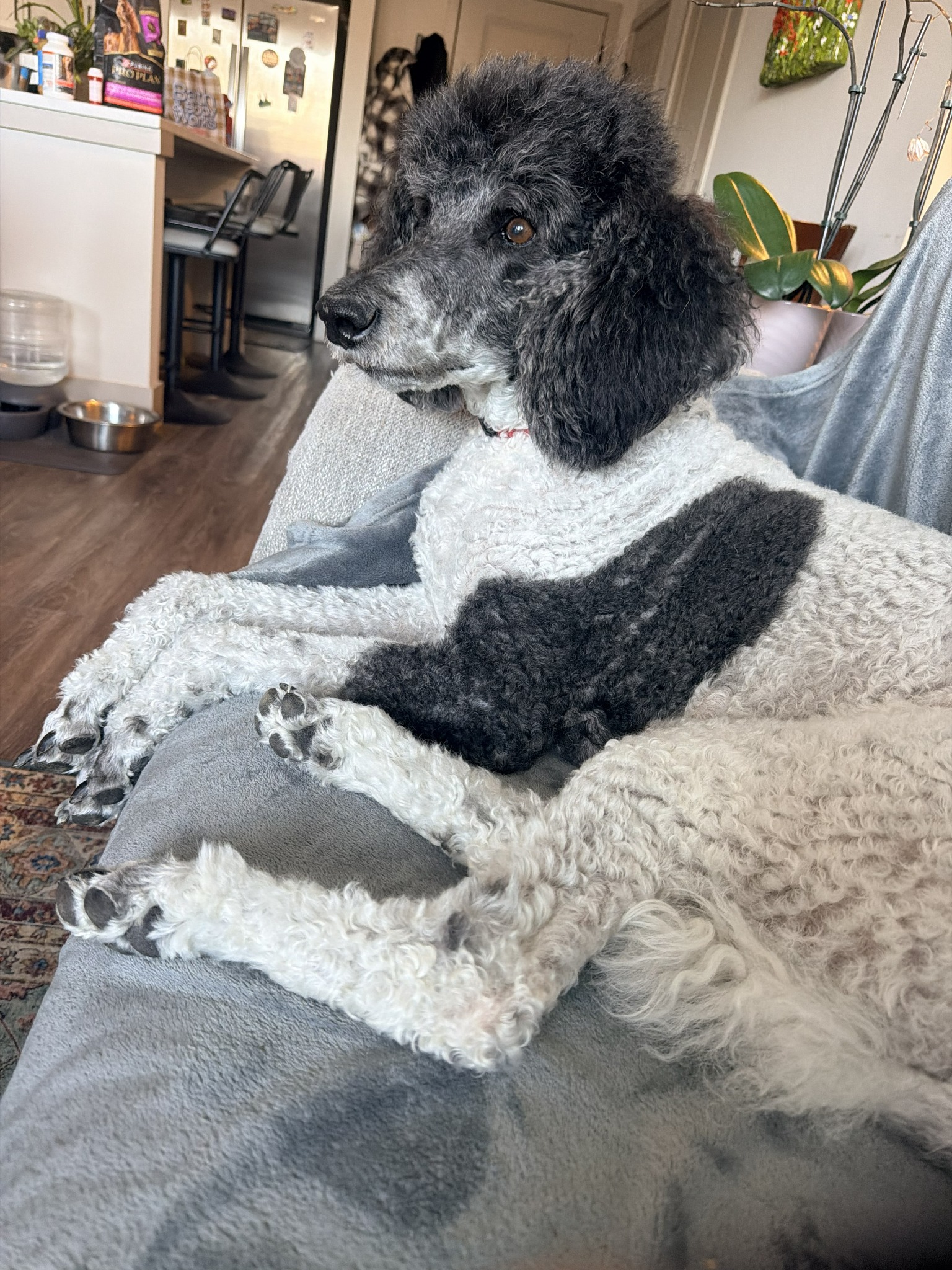 One of Bethany’s happy pet-care clients
