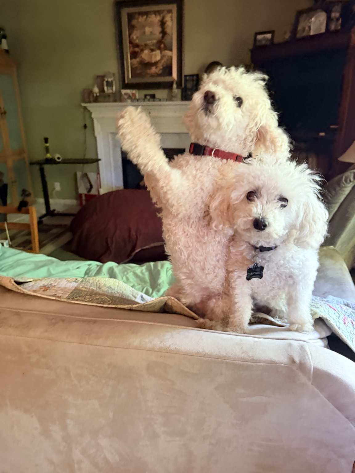 One of Bethany’s happy pet-care clients