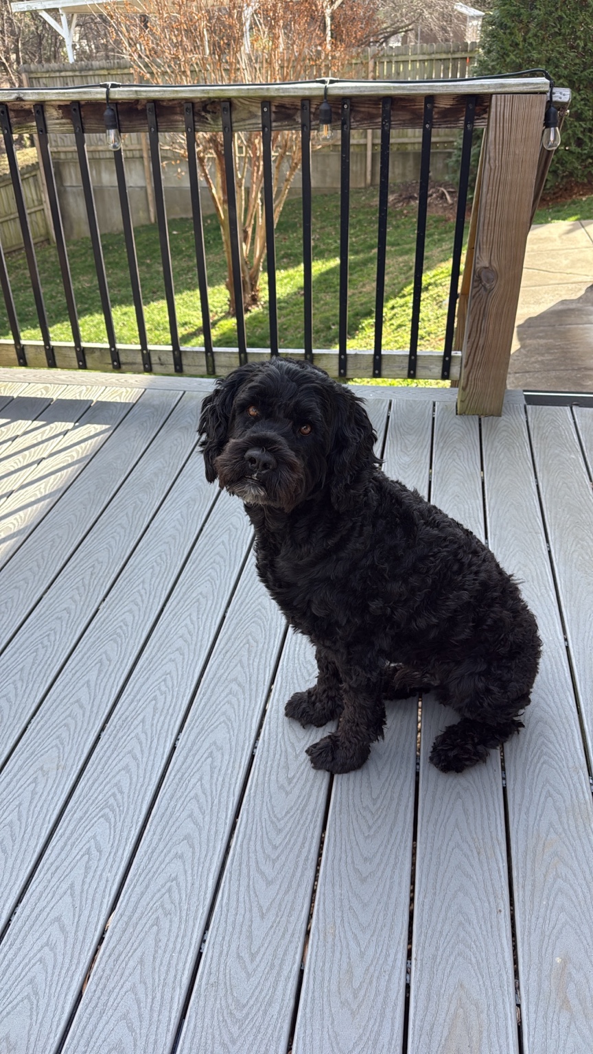 One of Bethany’s happy pet-care clients