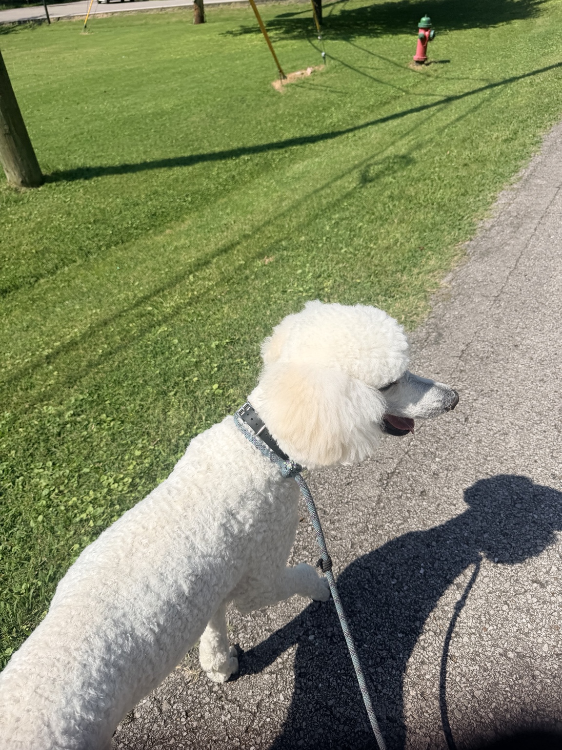 One of Bethany’s happy pet-care clients