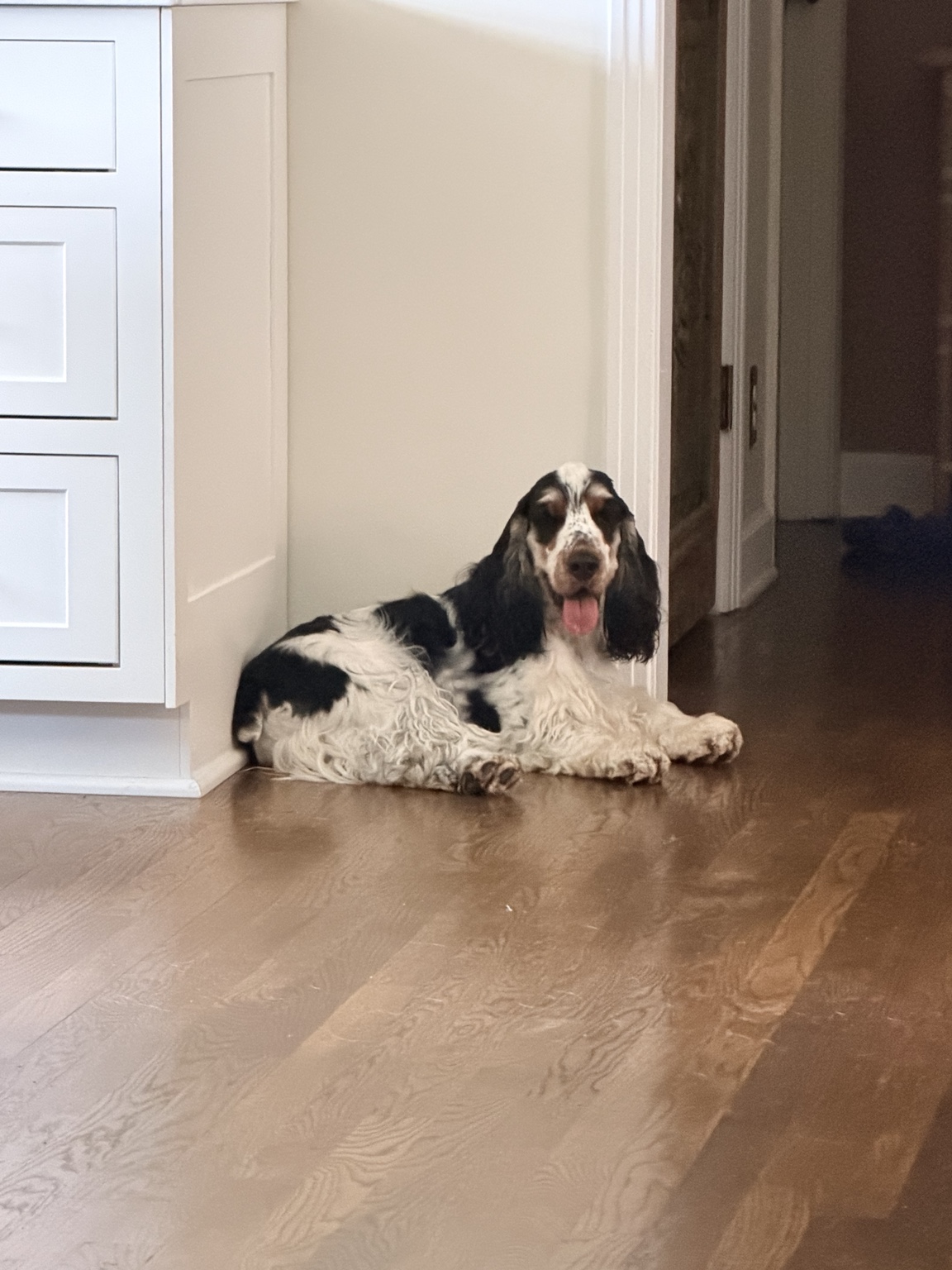 One of Bethany’s happy pet-care clients